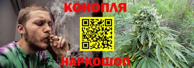 дмт Будённовск
