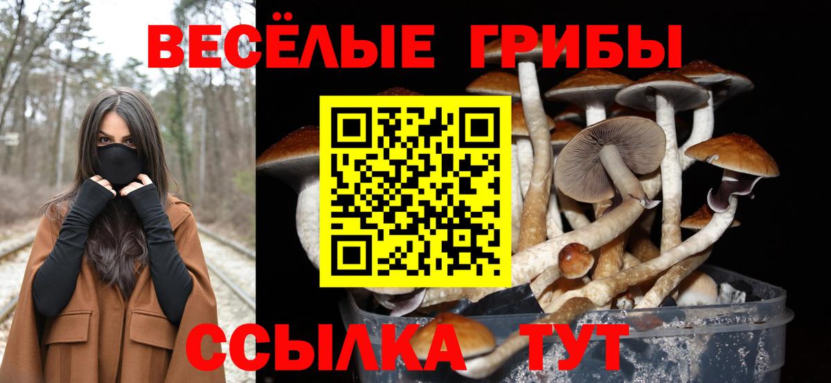 Серов  Галлюциногенные грибы MAGIC MUSHROOMS  Вход с VPN  Псилоцибиновые грибы MAGIC MUSHROOMS 